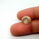 Yellow Sapphire (Pukhraj) 5.83 Ct Good quality Yellow Sapphire (Pukhraj) 5.83 Ct Good quality